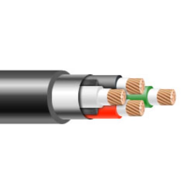 Where to find 100 FT. 2 4 TEMP POWER CABLE in San Jose